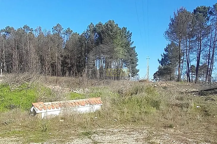 main-listing-picture-0