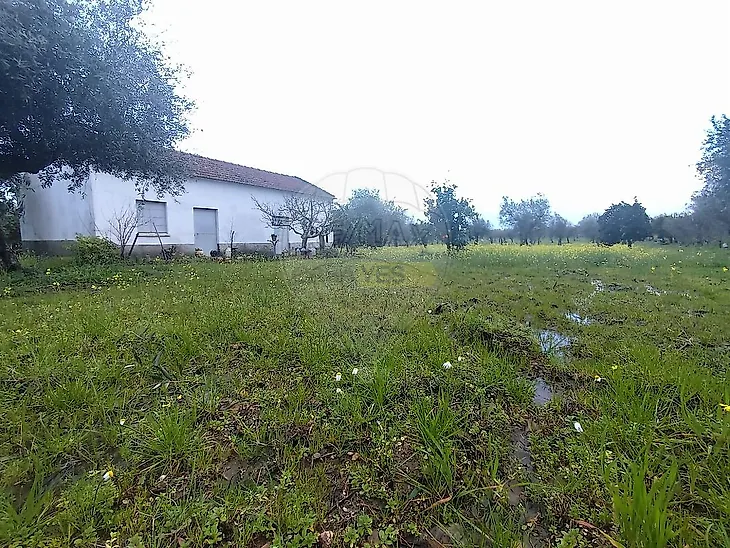 main-listing-picture-0
