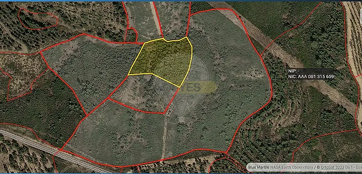 main-listing-picture-0