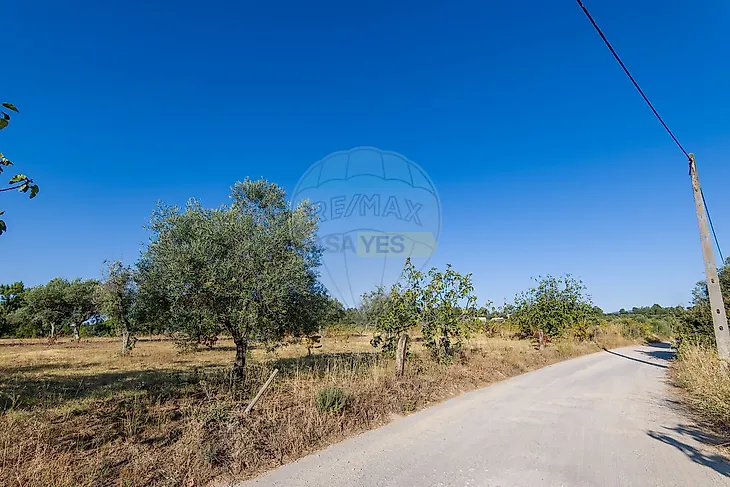 main-listing-picture-0