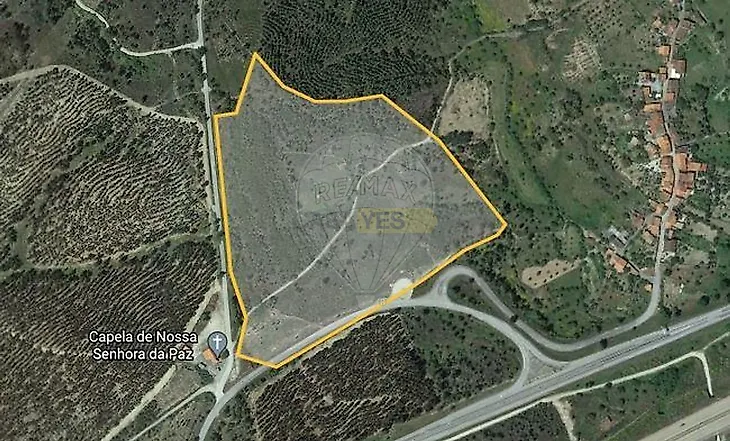 main-listing-picture-0