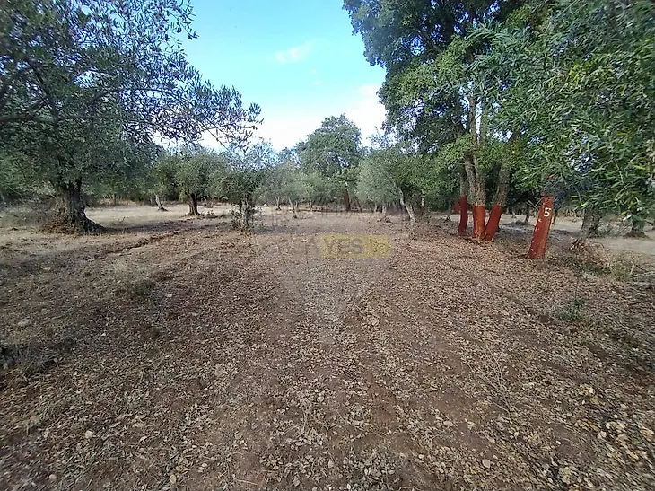 main-listing-picture-0