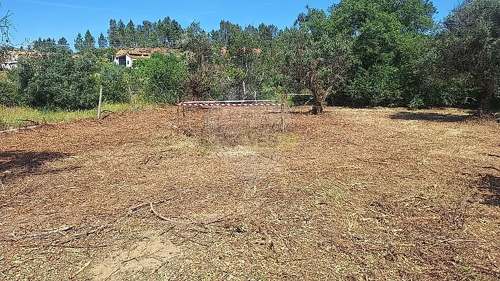 main-listing-picture-0