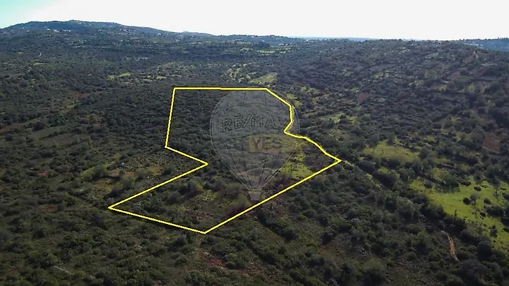 main-listing-picture-0