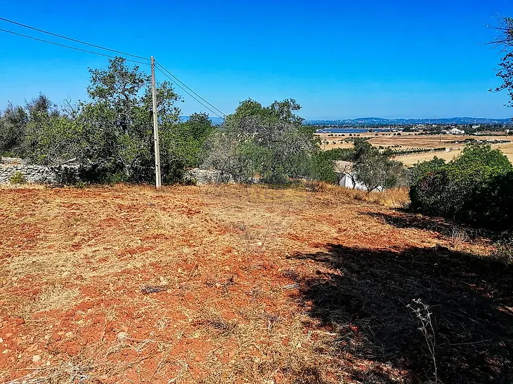 main-listing-picture-0
