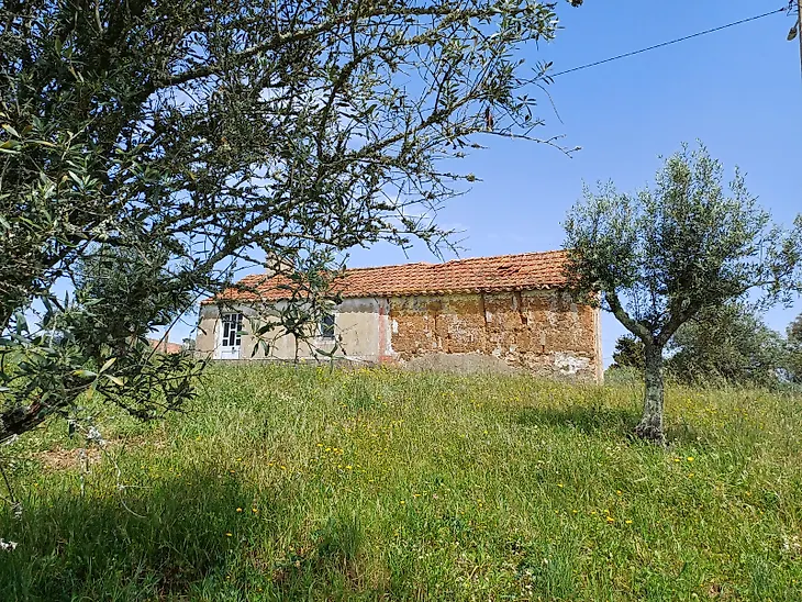main-listing-picture-0
