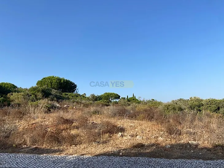 main-listing-picture-0