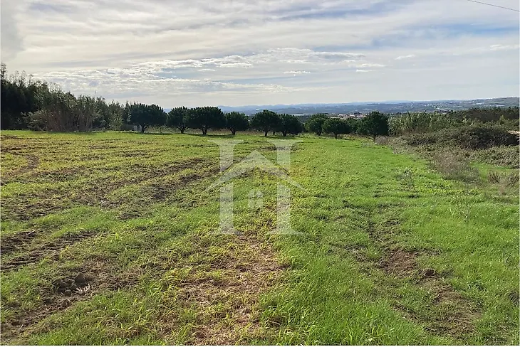 main-listing-picture-0