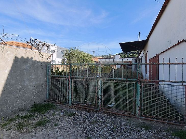 main-listing-picture-0