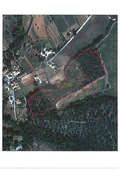 main-listing-picture-0
