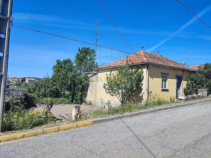main-listing-picture-0