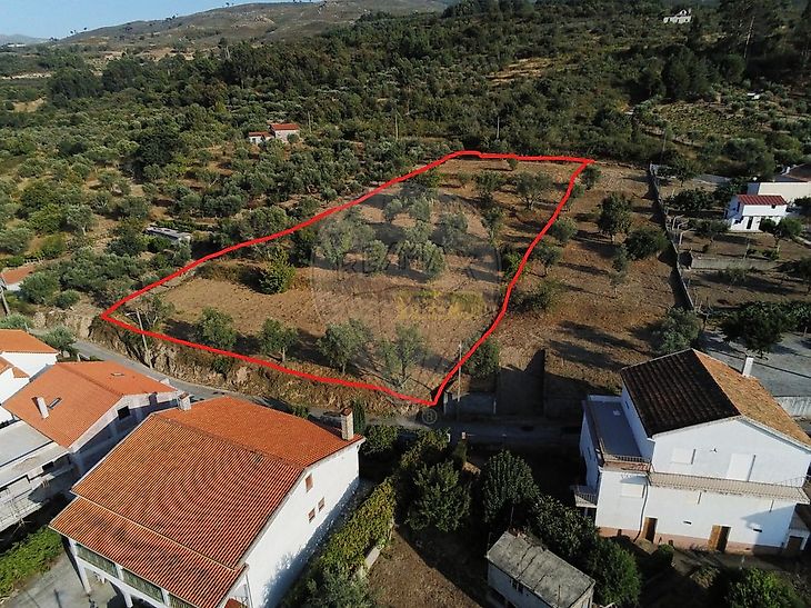 main-listing-picture-0