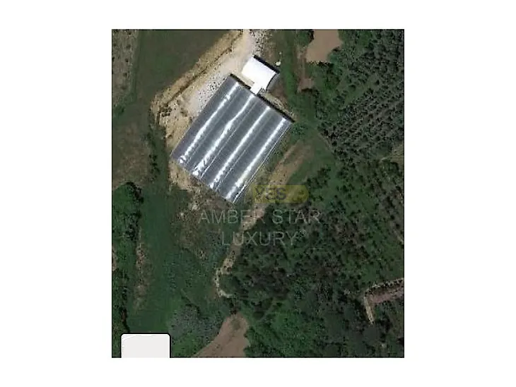 main-listing-picture-0