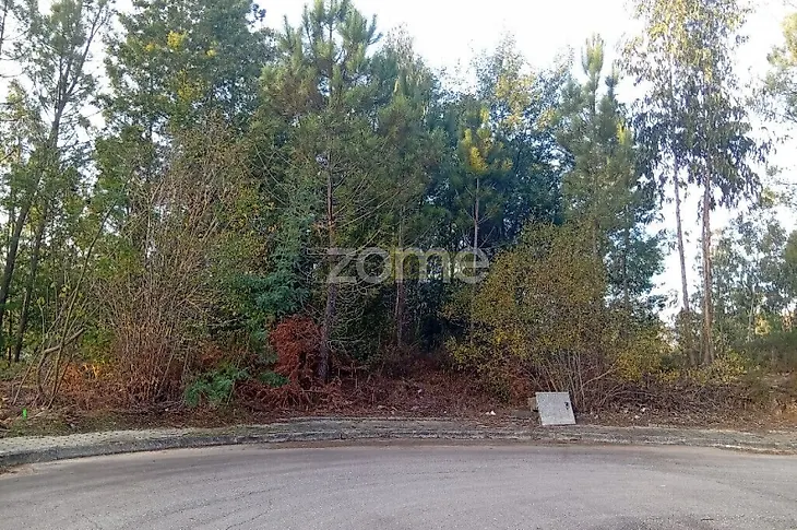 main-listing-picture-0
