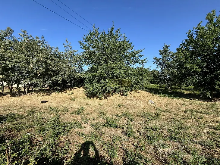 main-listing-picture-0