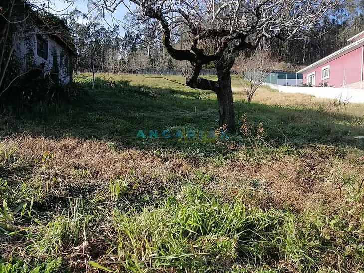 main-listing-picture-0