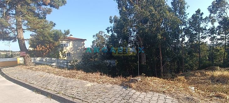 main-listing-picture-0