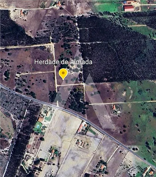 main-listing-picture-0