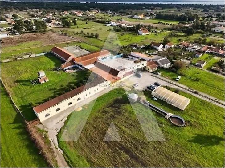 main-listing-picture-0