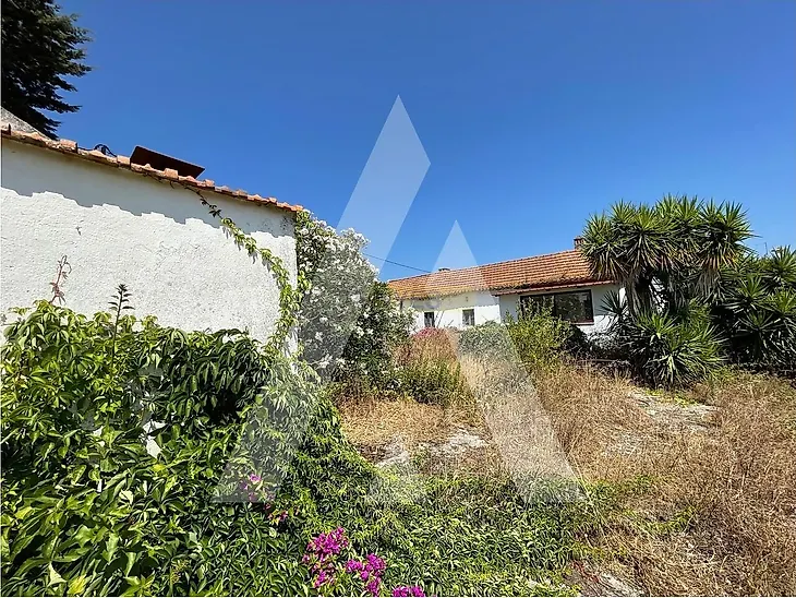 main-listing-picture-0