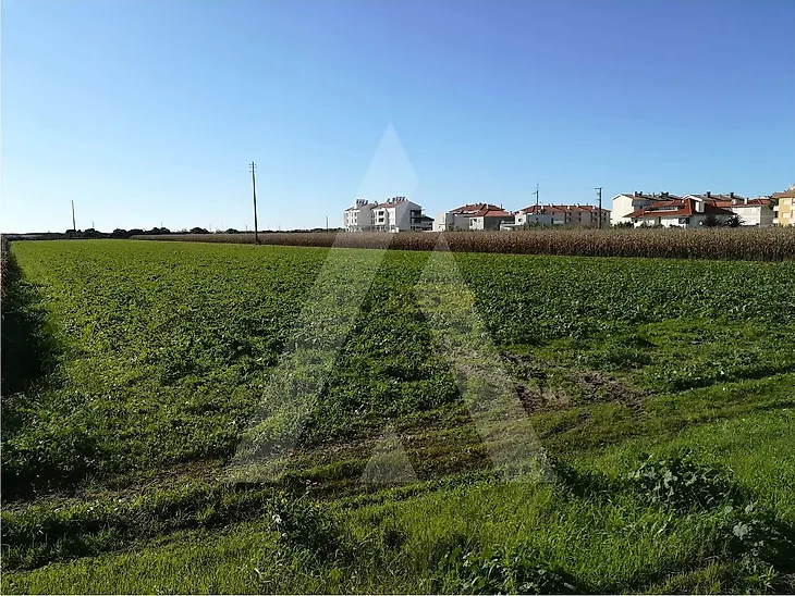 main-listing-picture-0