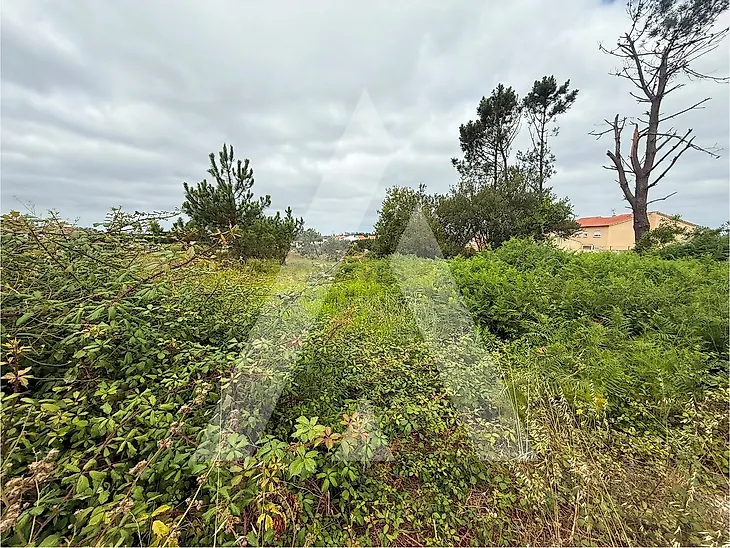main-listing-picture-0