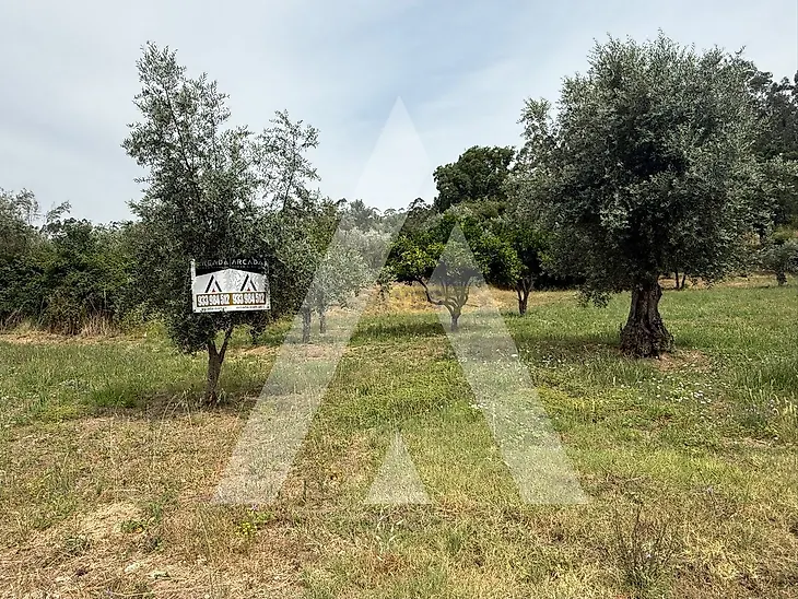 main-listing-picture-0