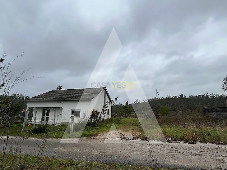 main-listing-picture-0