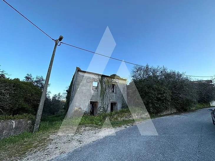 main-listing-picture-0