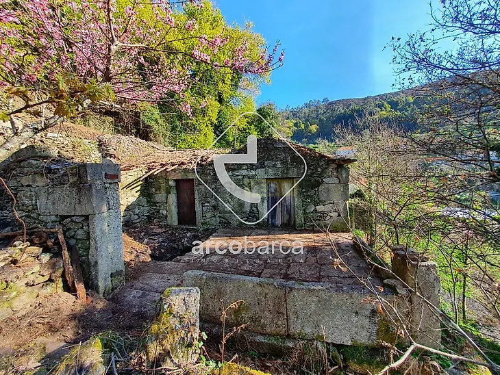 main-listing-picture-0