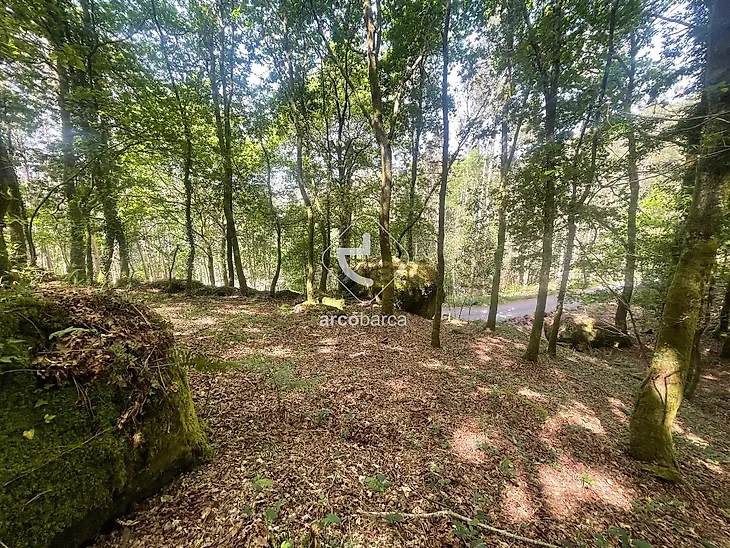 main-listing-picture-0