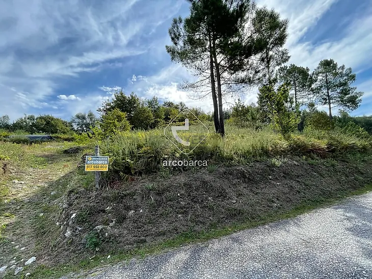 main-listing-picture-0