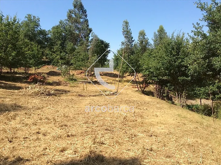 main-listing-picture-0