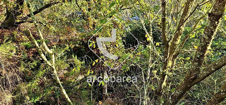 main-listing-picture-0