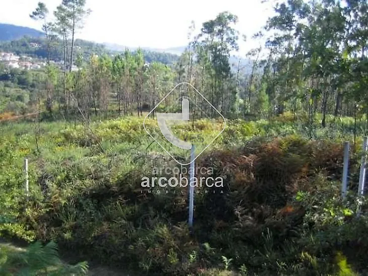 main-listing-picture-0