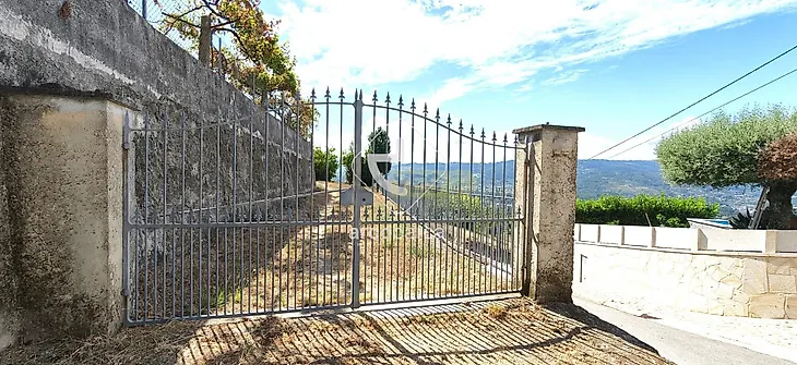 main-listing-picture-0