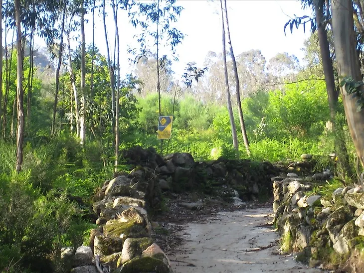 main-listing-picture-0