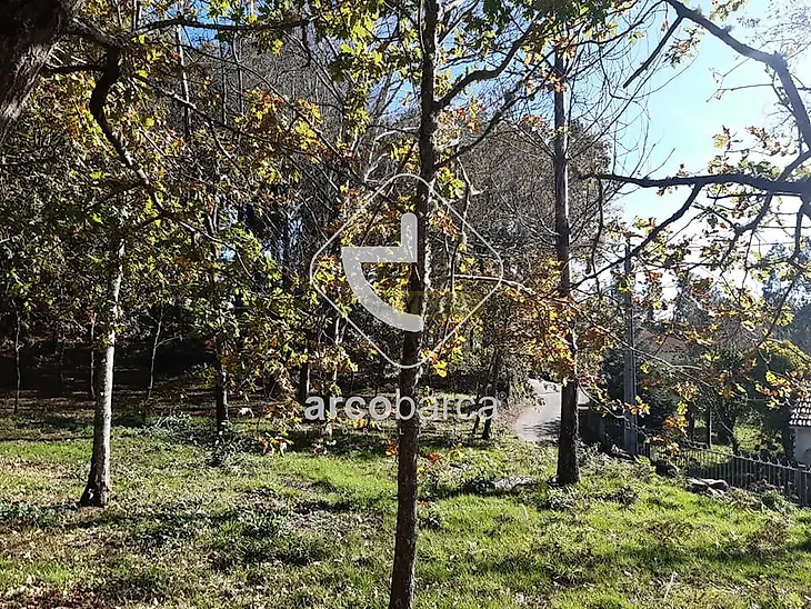 main-listing-picture-0