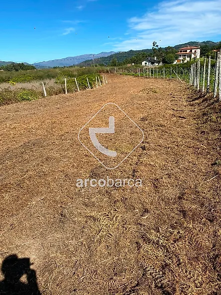 main-listing-picture-0