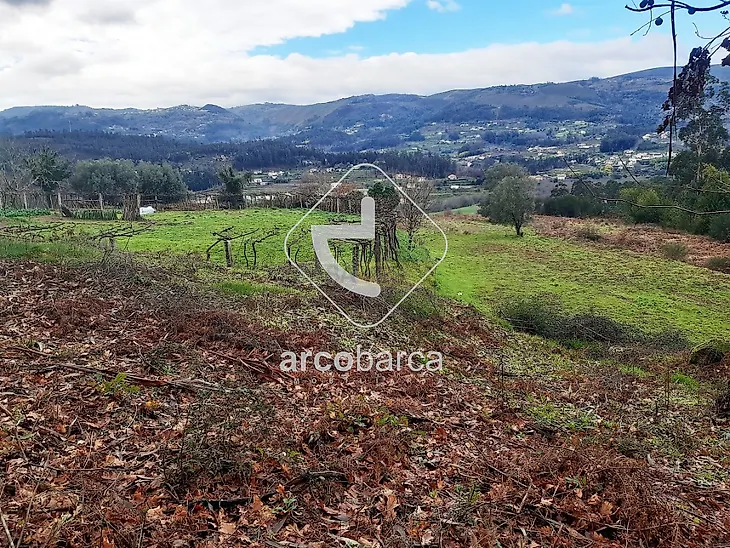 main-listing-picture-0