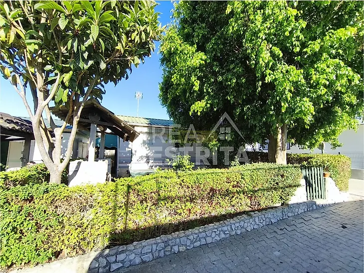 main-listing-picture-0