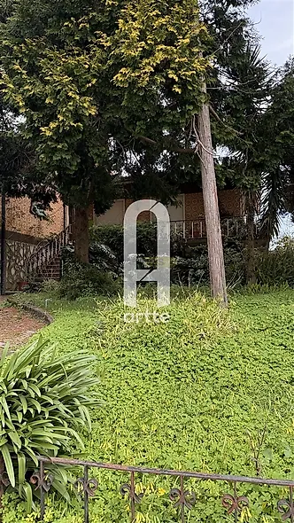 main-listing-picture-0