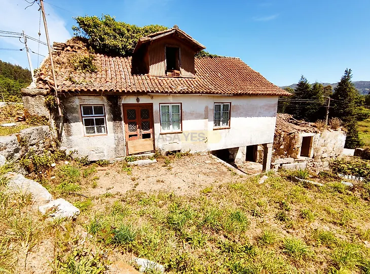 main-listing-picture-0