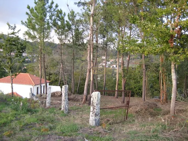 main-listing-picture-0