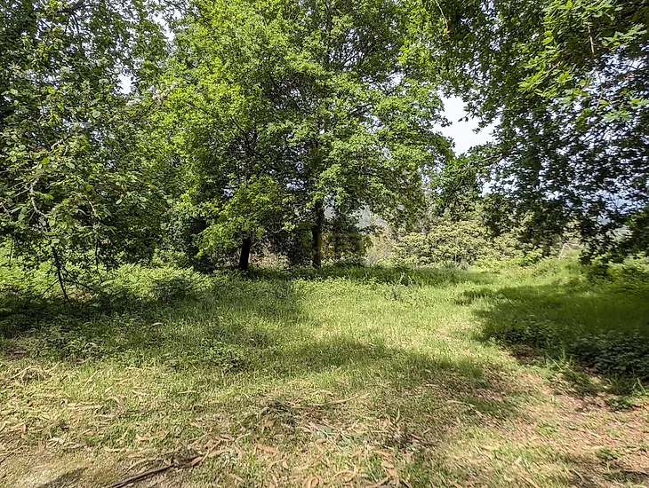 main-listing-picture-0