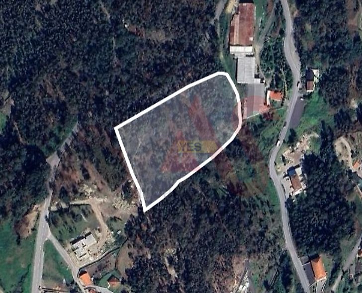 main-listing-picture-0