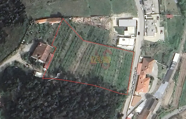 main-listing-picture-0