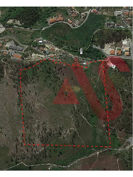 main-listing-picture-0