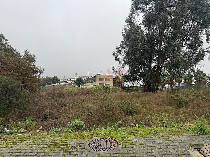 main-listing-picture-0