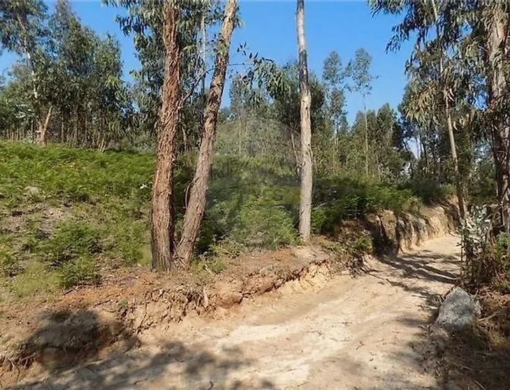 main-listing-picture-0